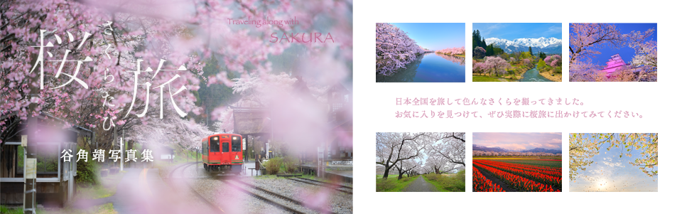 桜旅