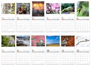 Art of Wildbird 日本の美しい風景と野鳥たちカレンダー