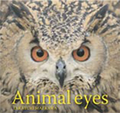 Animal eyes