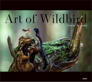 artofwildbird