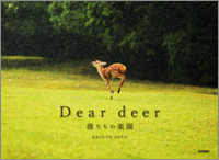 deer