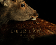 DEERLAND