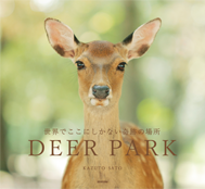 DEERPARK