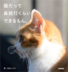 猫だって鼻提灯くらいできるもん。