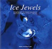 Ice Jewels