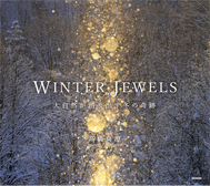 WINTER JEWELS