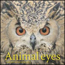 Animal eyes