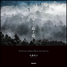 生き物たちの暮す森