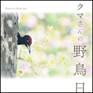 野鳥日誌