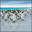 PENGUINLAND