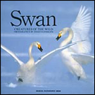 Swan