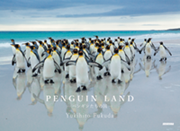 PENGUIN LAND-ペンギンたちの国
