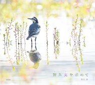 野鳥美を求めて