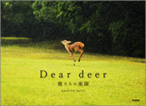 Deardeer