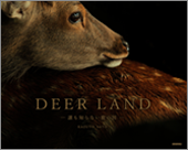 DEER LAND