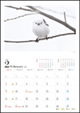 熊谷勝カレンダー2020【愛らしい鳥たち】